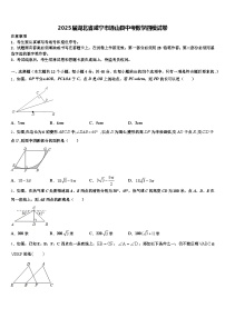 2025届湖北省咸宁市通山县中考数学四模试卷含解析