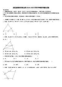 湖北省黄冈市英山县2024-2025学年中考数学模拟试题含解析