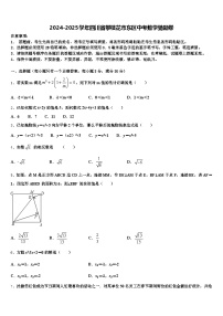 2024-2025学年四川省攀枝花市东区中考数学猜题卷含解析