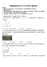 湖南省益阳市安化县2024-2025学年中考一模数学试题含解析