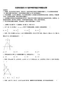 吕梁地区临县2025届中考数学最后冲刺模拟试卷含解析
