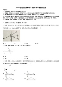 2025届河北省邯郸市广平县中考一模数学试题含解析
