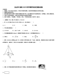 白山市江源区2025年中考数学适应性模拟试题含解析