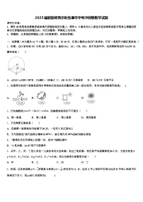 2025届新疆维吾尔吐鲁番市中考冲刺卷数学试题含解析