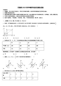 巴楚县2025年中考数学适应性模拟试题含解析