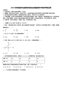 2025年贵州省黔东南苗族侗族自治州锦屏县中考数学押题试卷含解析