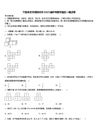 宁夏吴忠市青铜峡市2025届中考数学最后一模试卷含解析