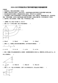 2024-2025学年银川市永宁县中考数学最后冲刺浓缩精华卷含解析