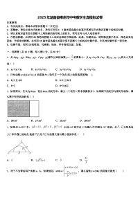 2025年湖南省郴州市中考数学全真模拟试卷含解析