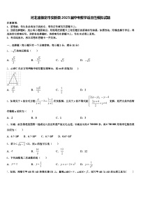河北省保定市安新县2025届中考数学适应性模拟试题含解析
