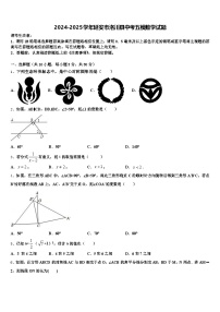 2024-2025学年延安市洛川县中考五模数学试题含解析