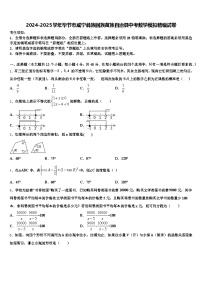 2024-2025学年毕节市威宁彝族回族苗族自治县中考数学模拟精编试卷含解析