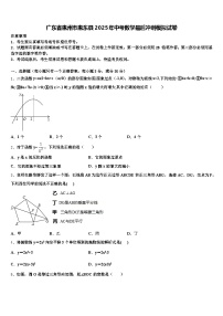 广东省惠州市惠东县2025年中考数学最后冲刺模拟试卷含解析