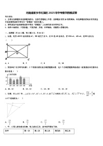 河南省新乡市红旗区2025年中考数学四模试卷含解析