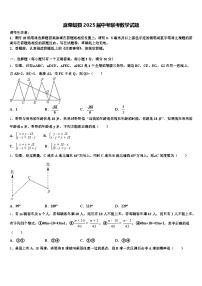 麻栗坡县2025届中考联考数学试题含解析