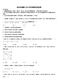 武汉市武昌区2025年中考数学仿真试卷含解析
