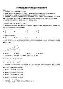 2025届湖北省黄石市黄石港区中考数学押题卷含解析