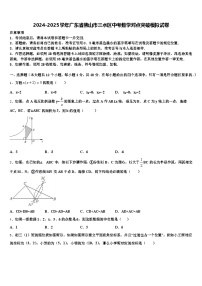 2024-2025学年广东省佛山市三水区中考数学对点突破模拟试卷含解析