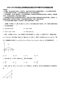 2024-2025学年恩施土家族苗族自治州利川市中考数学对点突破模拟试卷含解析
