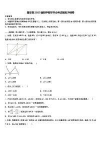 隆安县2025届初中数学毕业考试模拟冲刺卷含解析
