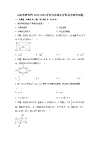 山东省青岛市2025-2026学年九年级上学期月考数学试卷（学生版）