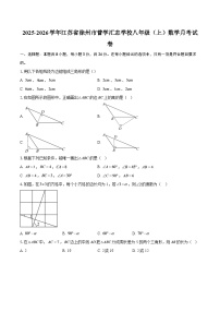 2025-2026学年江苏省徐州市普学汇志学校八年级（上）数学月考试卷-自定义类型