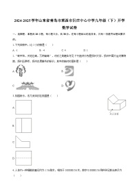 2024-2025学年山东省青岛市莱西市日庄中心中学九年级（下）开学数学试卷-自定义类型