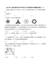 2025年广东省深圳市初中学业水平考试数学考前模拟训练（三）-自定义类型