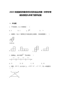 2025年新疆克孜勒苏柯尔克孜自治州第一中学中考模拟预测九年级下数学试题（含答案解析）
