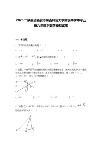 2025年陕西省西安市陕西师范大学附属中学中考五模九年级下数学模拟试卷（含答案解析）