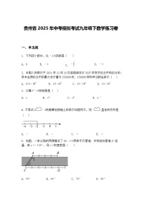 贵州省2025年中考模拟考试九年级下数学练习卷（含答案解析）
