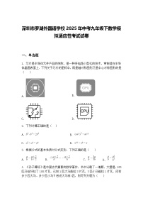 深圳市罗湖外国语学校2025年中考九年级下数学模拟适应性考试试卷（含答案解析）
