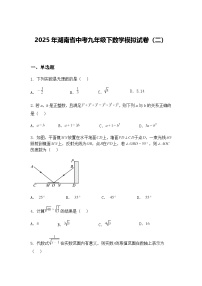 2025年湖南省中考九年级下数学模拟试卷（二）（含答案解析）
