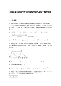 2025年河北省中考预测模拟考试九年级下数学试卷（含答案解析）