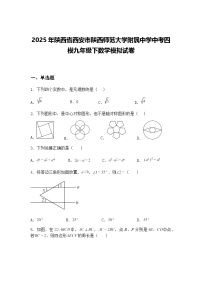 2025年陕西省西安市陕西师范大学附属中学中考四模九年级下数学模拟试卷（含答案解析）