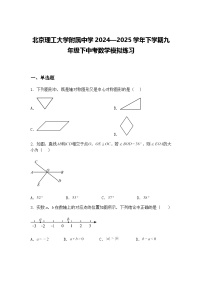 北京理工大学附属中学2024—2025学年下学期九年级下中考数学模拟练习（含答案解析）