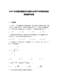 2025年河南省南阳市方城县九年级下中考模拟模拟预测数学试题（含答案解析）