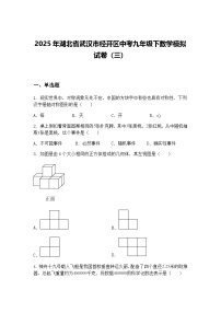 2025年湖北省武汉市经开区中考九年级下数学模拟试卷（三）（含答案解析）