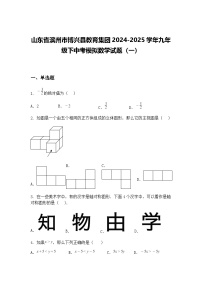 山东省滨州市博兴县教育集团2024-2025学年九年级下中考模拟数学试题（一）（含答案解析）