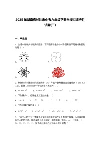 2025年湖南省长沙市中考九年级下数学模拟适应性试卷(三)（含答案解析）
