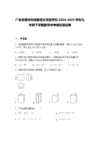 广东省惠州市博雅培文实验学校2024-2025学年九年级下学期数学中考模拟测试卷（含答案解析）