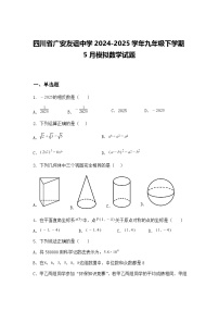 四川省广安友谊中学2024-2025学年九年级下学期5月模拟数学试题（含答案解析）