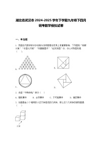 湖北省武汉市2024-2025学年下学期九年级下四月调考数学模拟试卷（含答案解析）