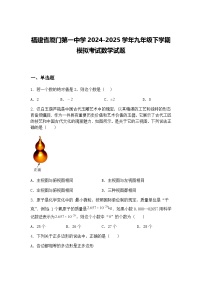 福建省厦门第一中学2024-2025学年九年级下学期模拟考试数学试题（含答案解析）