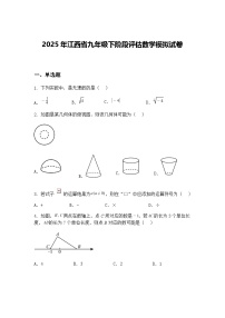 2025年江西省九年级下阶段评估数学模拟试卷（含答案解析）