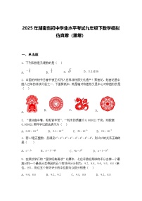 2025年湖南省初中学业水平考试九年级下数学模拟仿真卷（黑卷）（含答案解析）