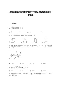 2025年陕西省初中学业水平考试全真模拟九年级下数学卷（含答案解析）
