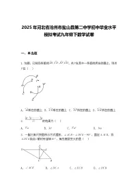 2025年河北省沧州市盐山县第二中学初中毕业水平模拟考试九年级下数学试卷（含答案解析）