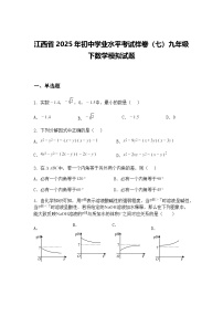 江西省2025年初中学业水平考试样卷（七）九年级下数学模拟试题（含答案解析）