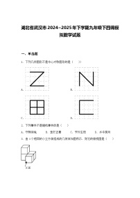 湖北省武汉市2024~2025年下学期九年级下四调模拟数学试题（含答案解析）
